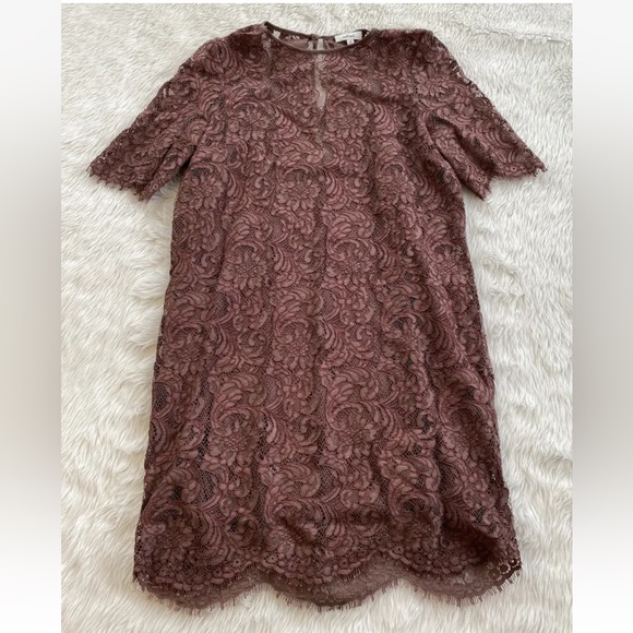 ✨ARITZIA✨WILFRED Martory Lace Mini Dress in Brown - Picture 5 of 7